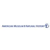 American Museum